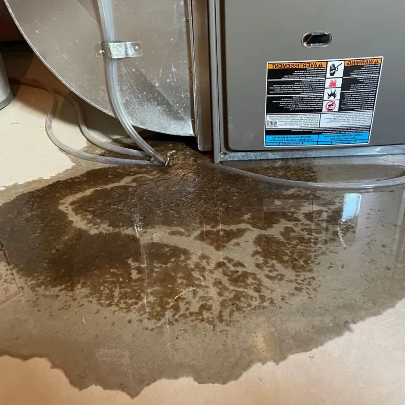 Pipe Burst and Leak Restoration in Fajardo Municipio, PR